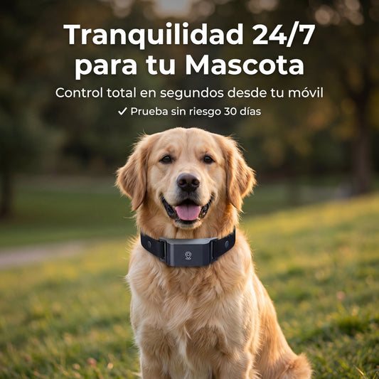 GPS Tracker para Mascotas — Tranquilidad 24/7 desde tu Móvil