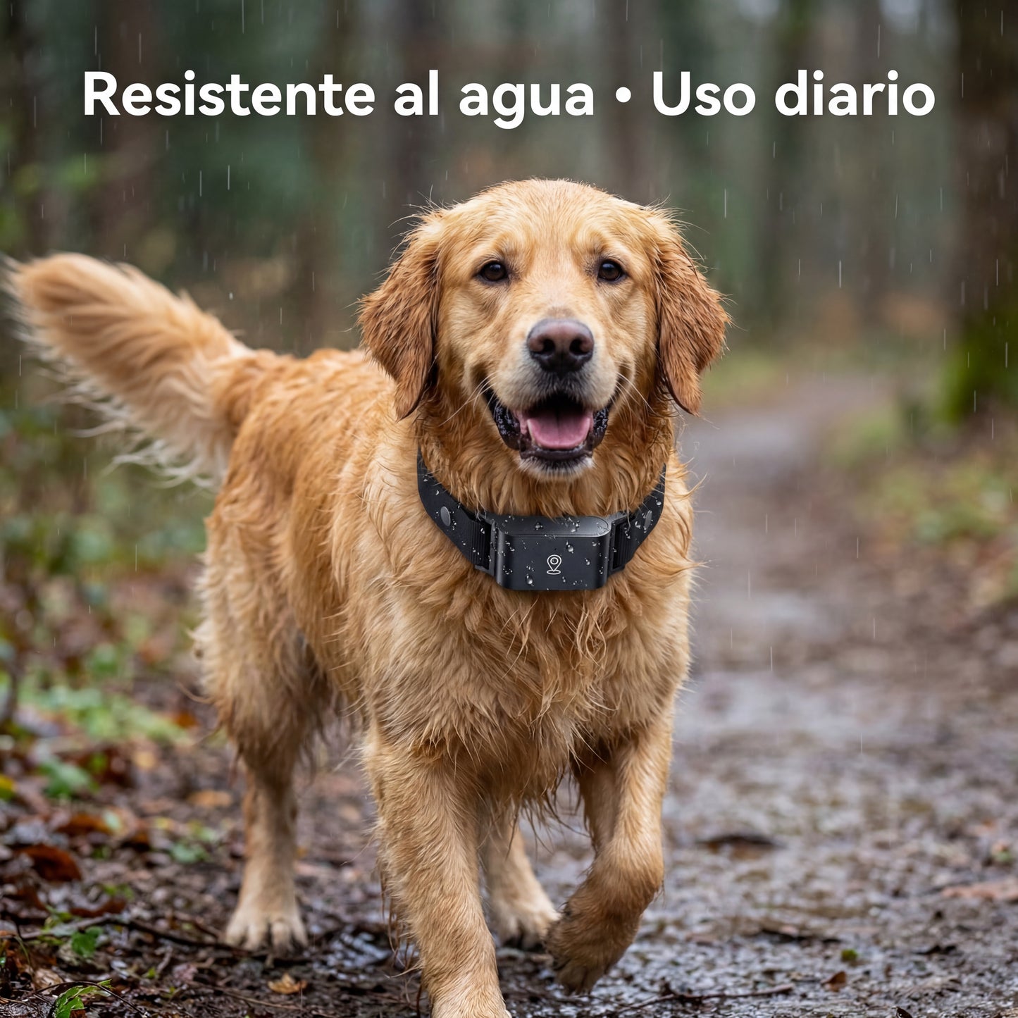 GPS Tracker para Mascotas — Tranquilidad 24/7 desde tu Móvil