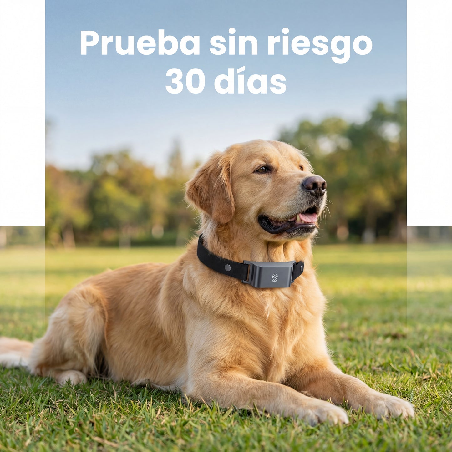 GPS Tracker para Mascotas — Tranquilidad 24/7 desde tu Móvil